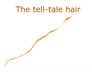 tell-tale hair.jpg