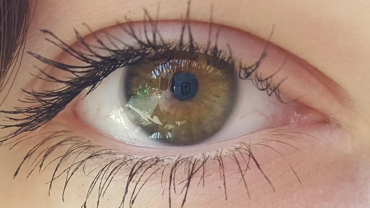 eye-1425182_1920.jpg