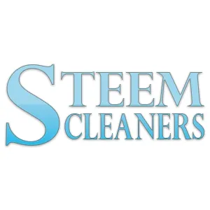 Steem clearner.png