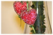 IMG_0188_180x120.png