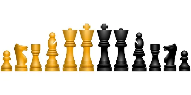 chess-145184_640.jpg