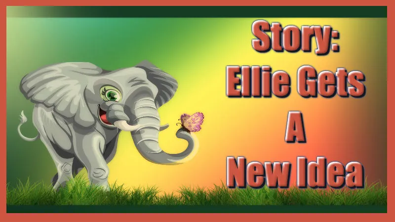 elephant cover.jpg