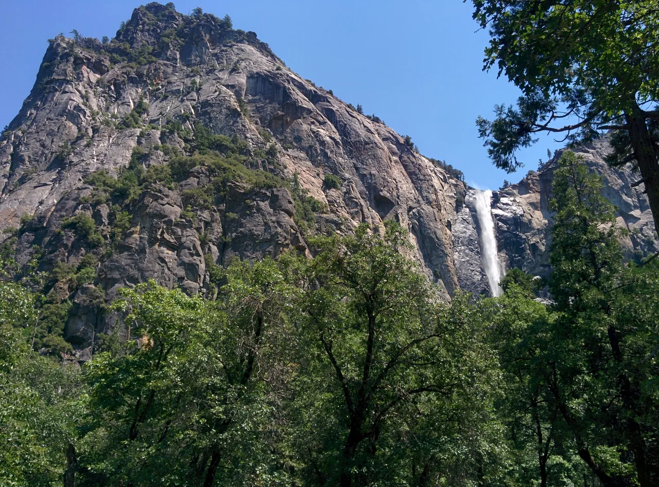 Yosemite Park4.jpg