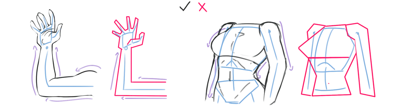 recto organico.png