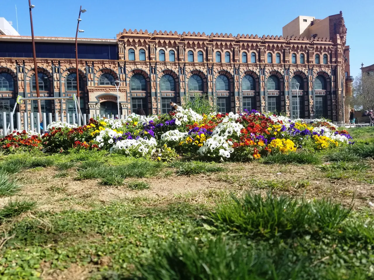 20180418_1733281.jpg