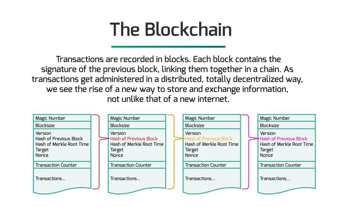 PiedPiperCoin-blockchain_11.jpg