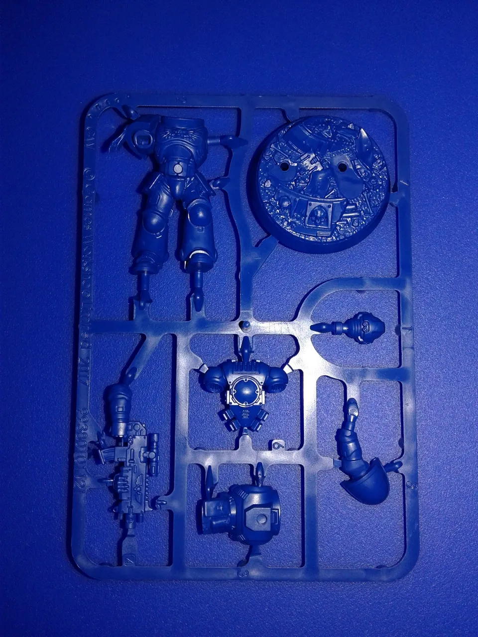 primaris front.jpg