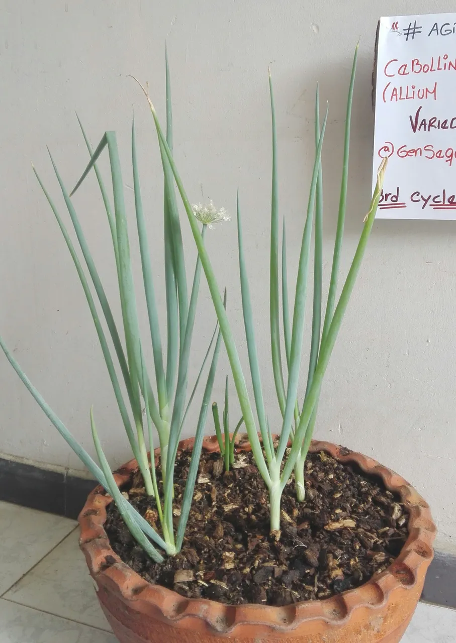 _20180505_213050.JPG