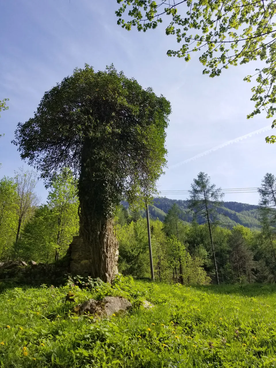 20180427_1615371.jpg
