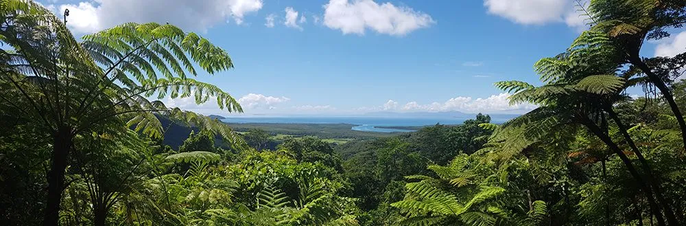 Daintree Small.jpg