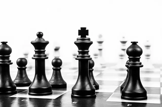 chess-316658_640.jpg