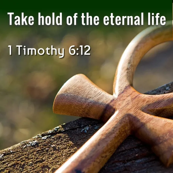 Examining the scriptures, take hold of the eternal life. 1 Timothy 6,12. Exegesis.jpg