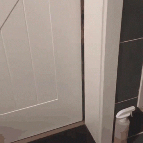 untitled.gif