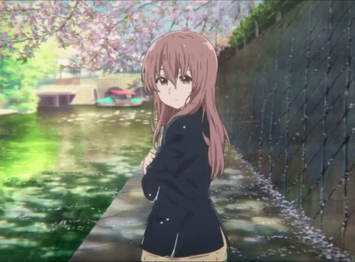 untitled.gif