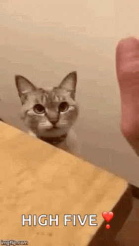 untitled.gif