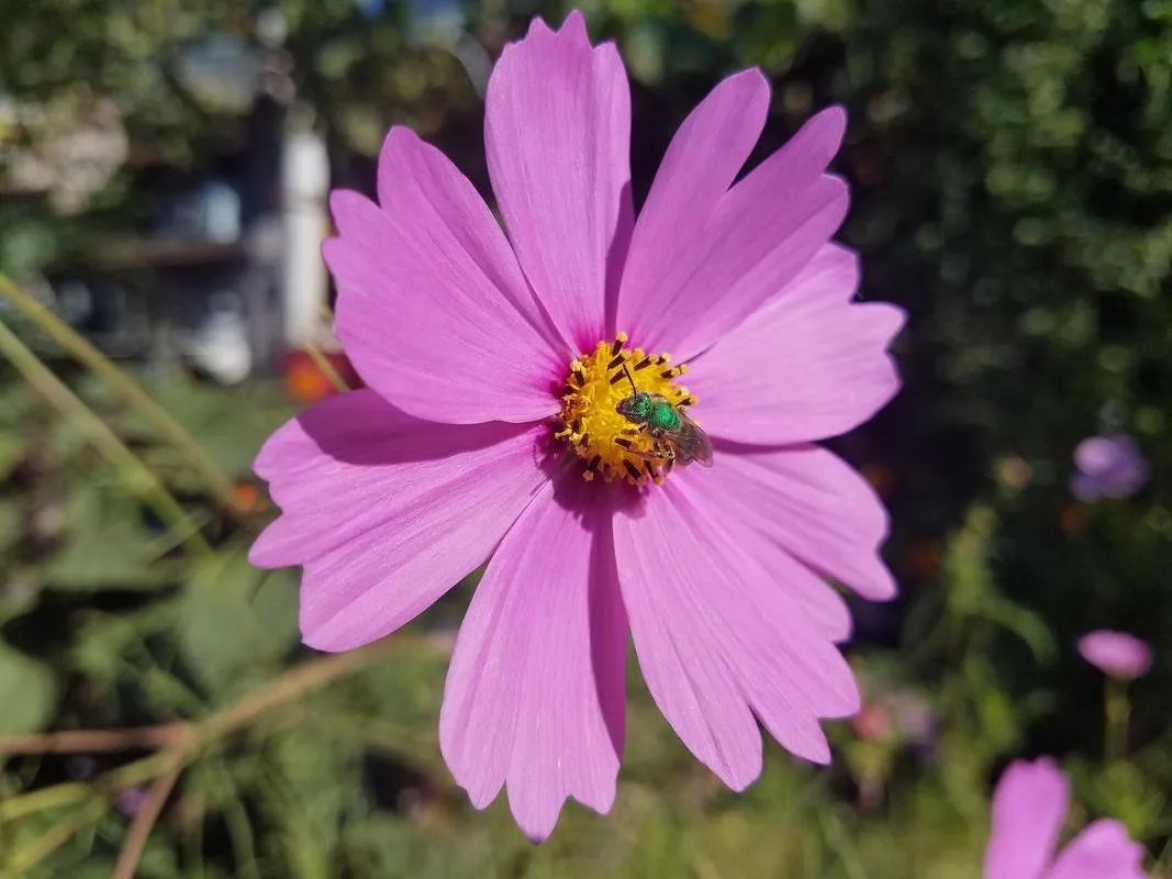 20170825_091915.jpg