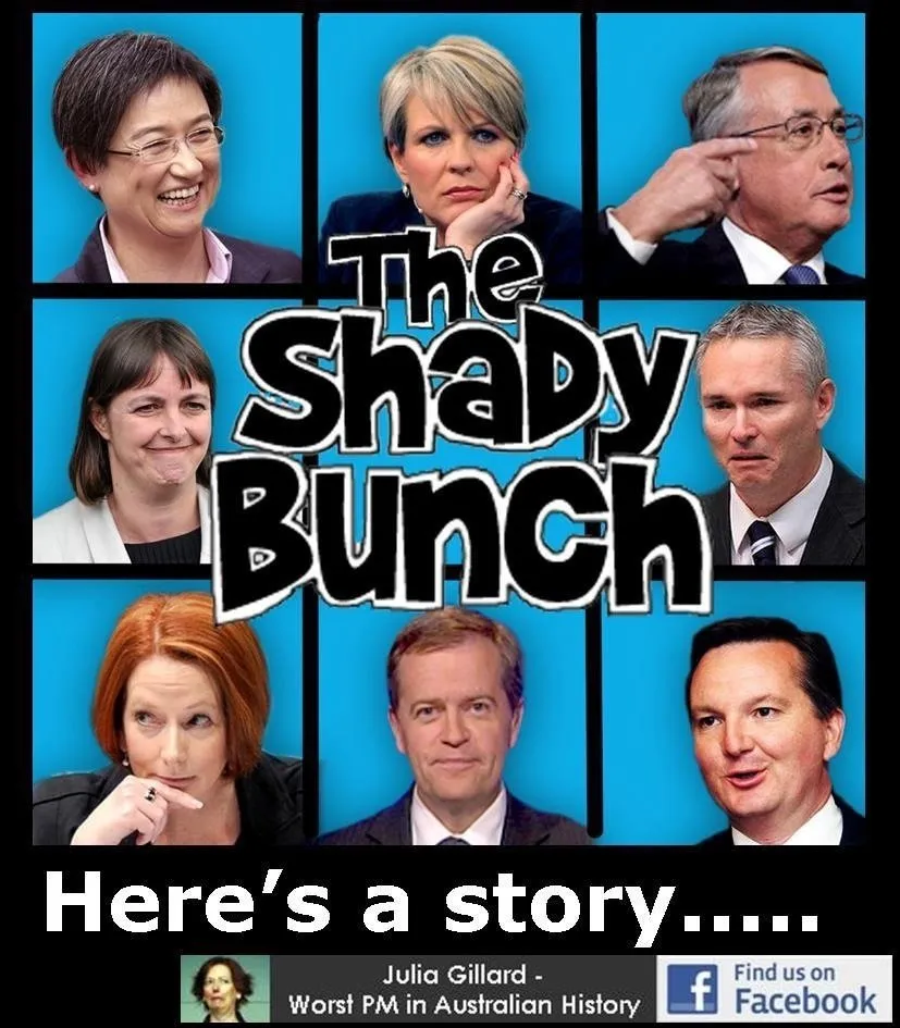 the shady bunch.jpg