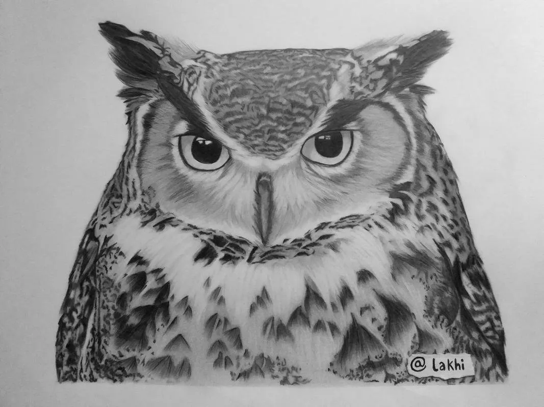 BARRED OWL Pencil Drawing, Art Print, Pencil Drawing, Wildlife Art, Home  Decor, Nature Lover, Black and White, Modern Art, - Etsy