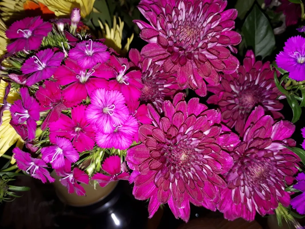20170622_191002.jpg
