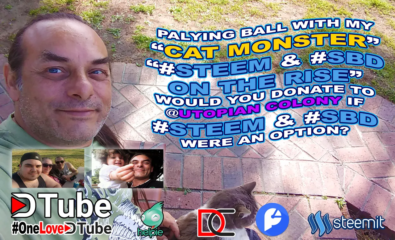 #steem & #SBD are on the Rise - Playing Ball with My cat Monster - Response to @elsiekjay about funding the @utopian-io Colony with #steem or #SBD.jpg