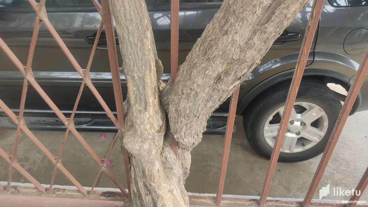 clgsjg0x302gj9rszcboyh7yx_IMG_20230422_162523.webp