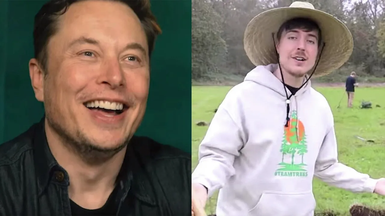 mrbeast-elon-musk-tree-planting-team-trees-plant-project-youtube.jpg