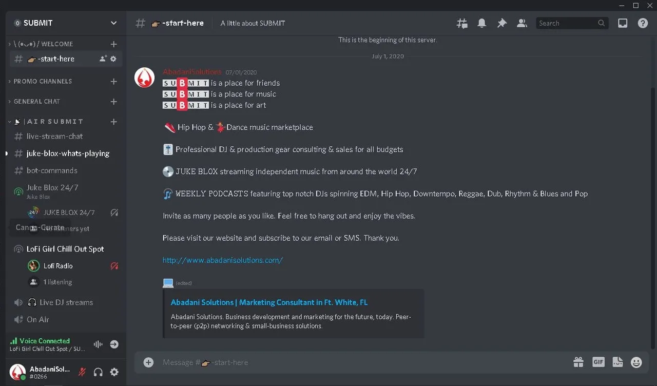 submit discord server screenshot desktop hive blog post.JPG