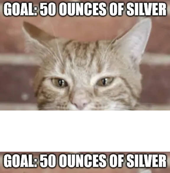 Screenshot_2021-02-05 Kitty cash Meme Generator - Imgflip.png