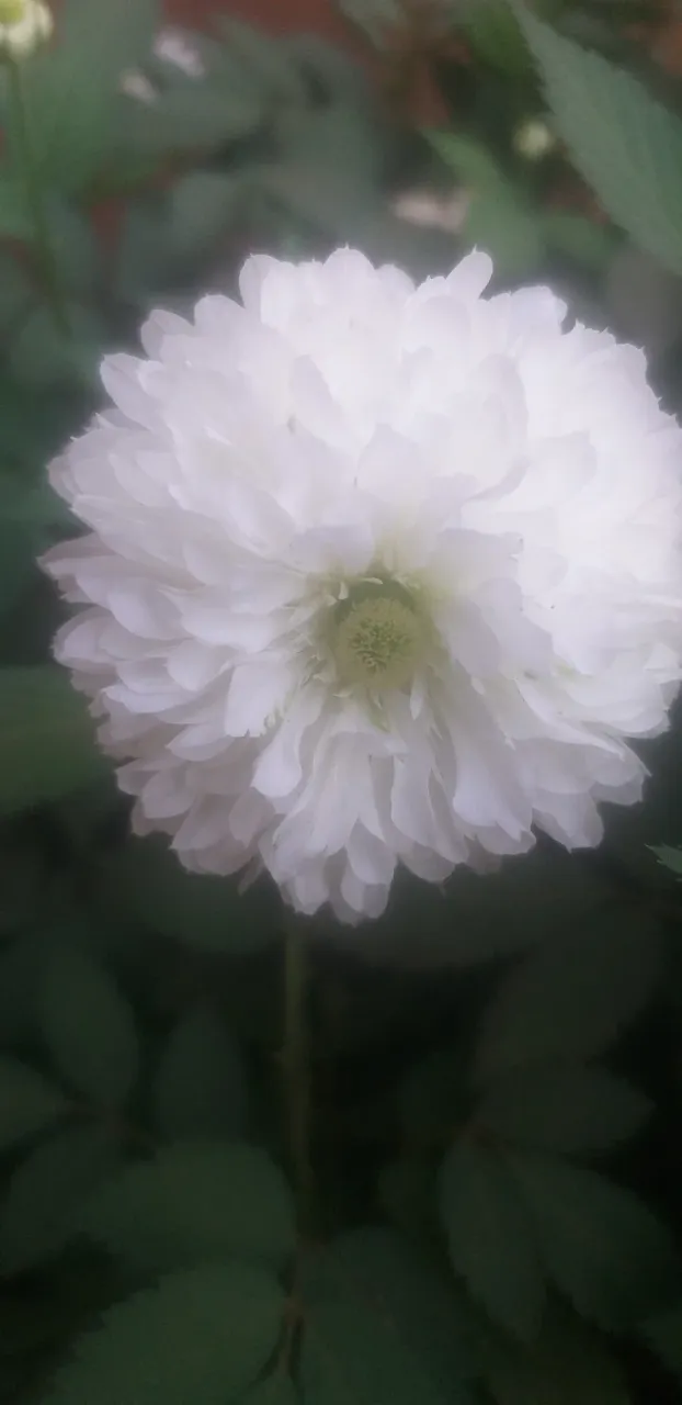 cll9hnsik007a8pszfr9g4xzp_20200809_161852.webp