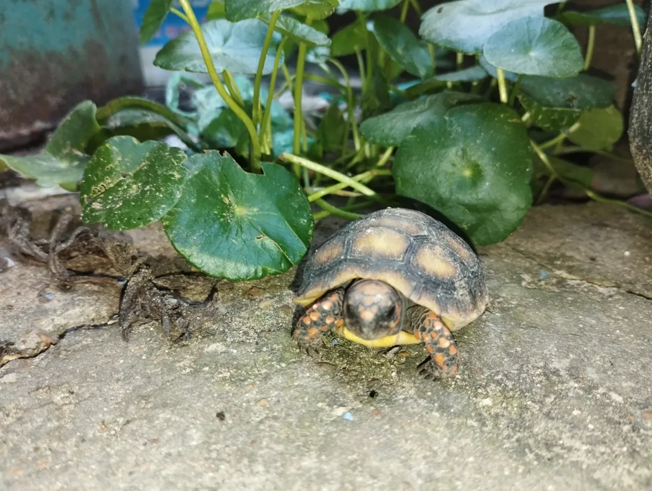 N7IiWSvwHKpYgvOn_1000351957.webp