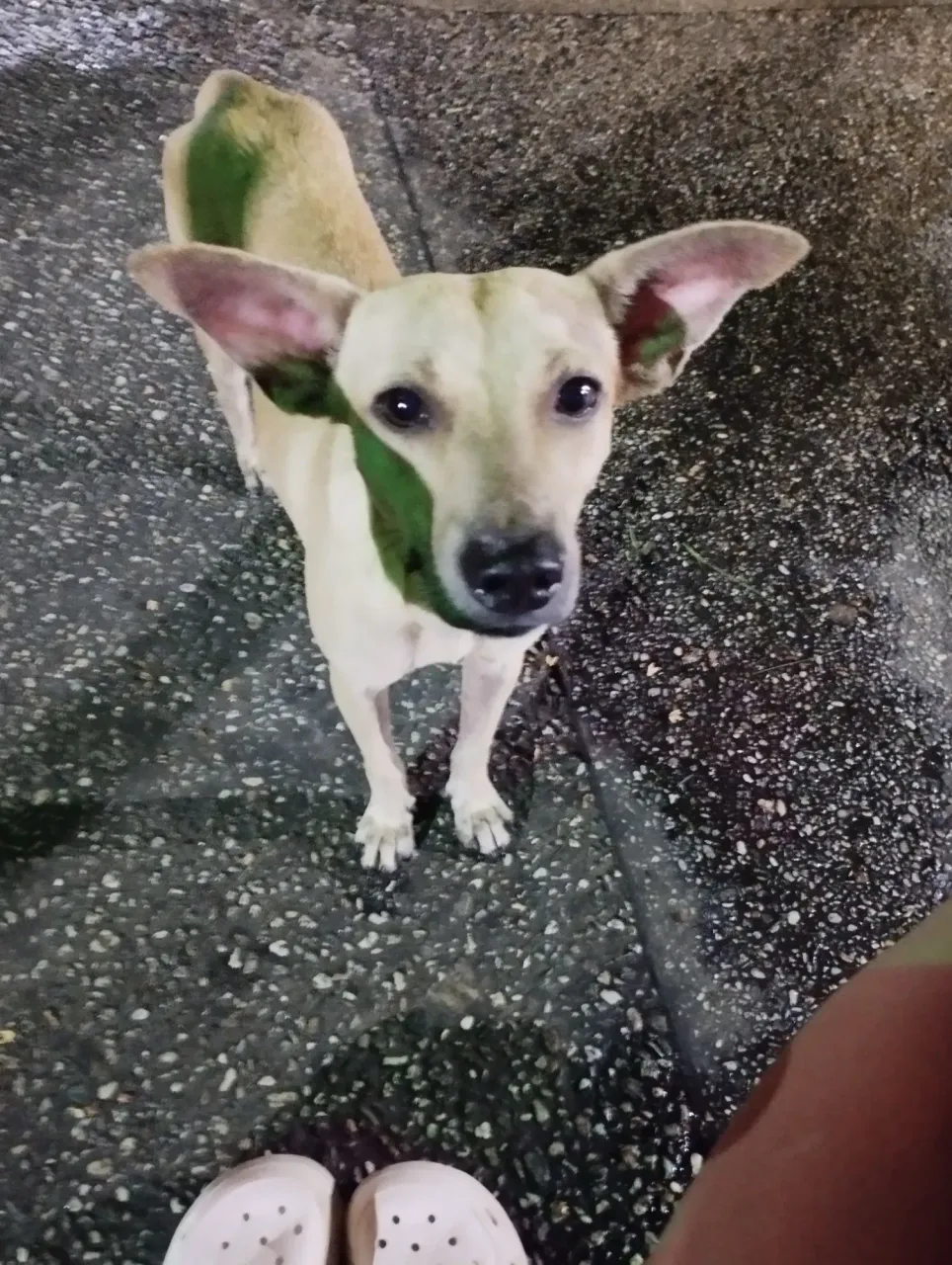 P7WkTFaYjP0LsbDK_1000365035.webp