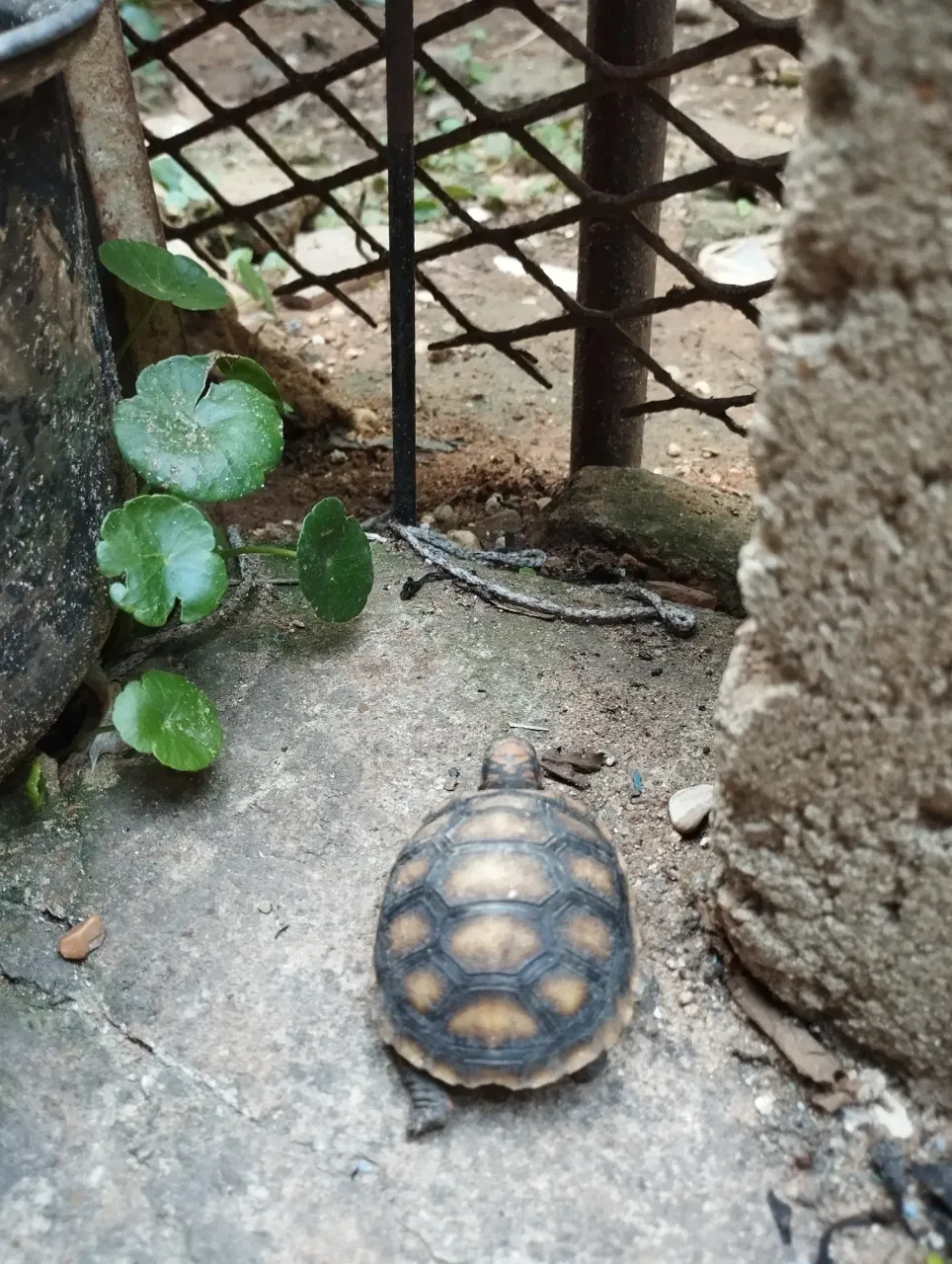 jwnZNPOlKSPvmilP_1000351988.webp