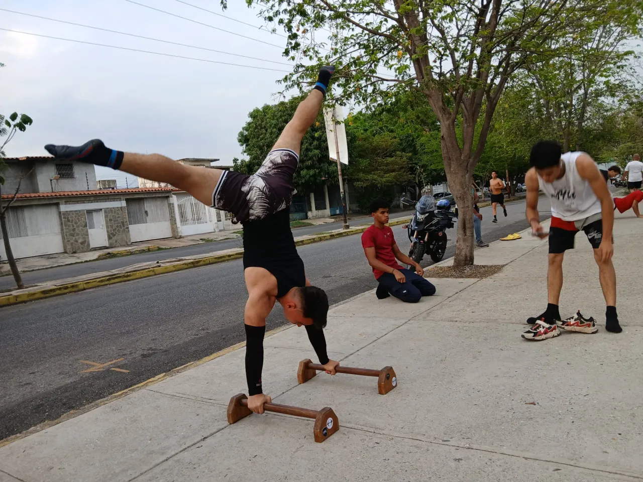 tIXaTS0IY789TaRY_1000316398.webp