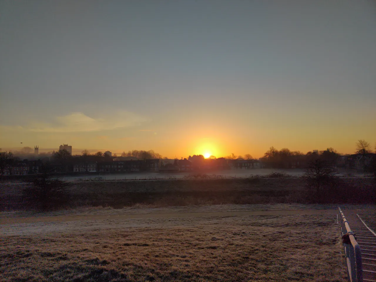 IMG_20210227_071704_004.jpg