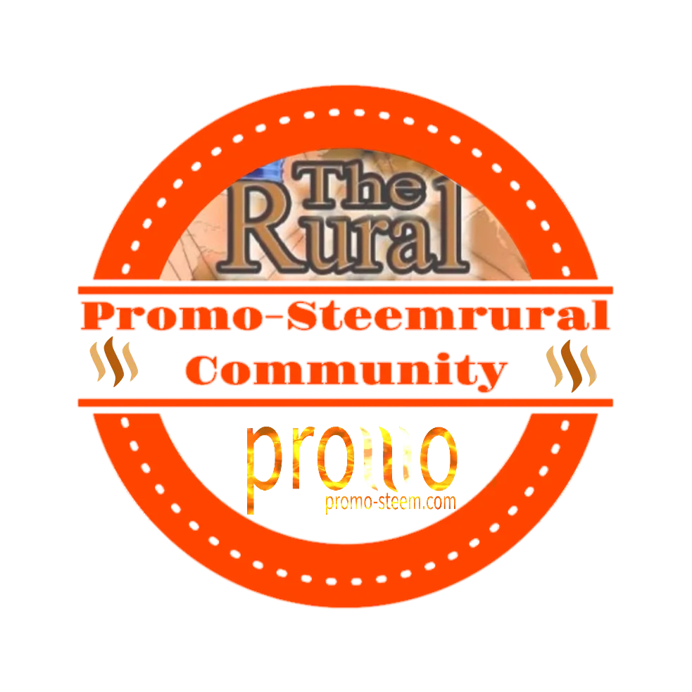 Promo-Steemrural logo.png