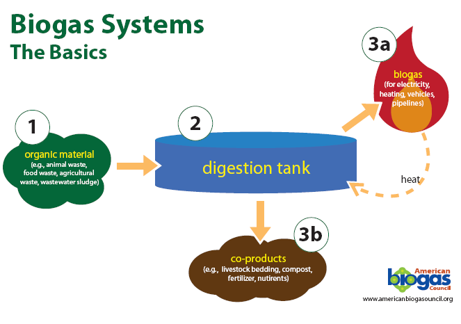 genericDigestionProcess.gif