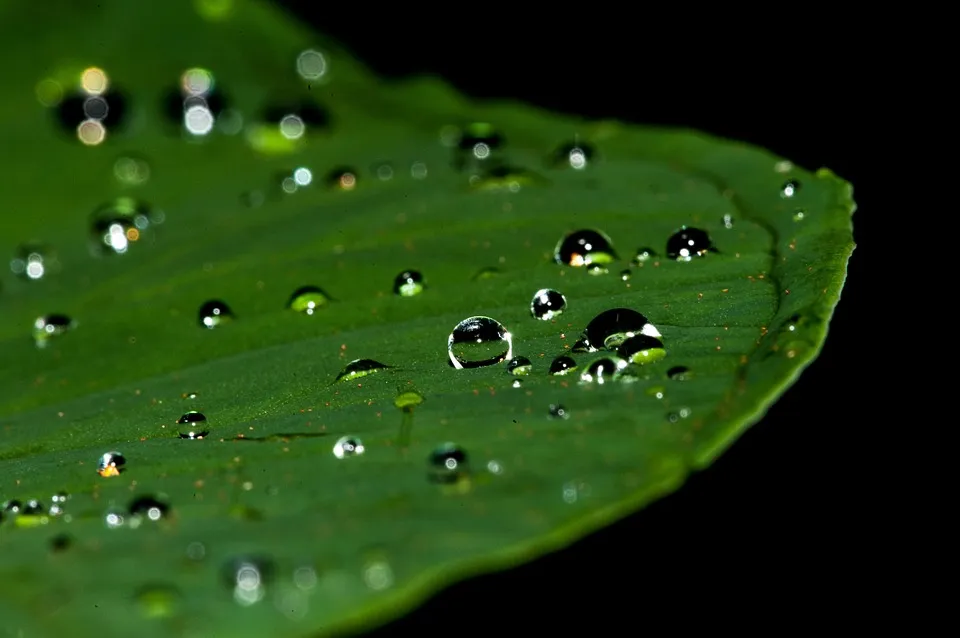 droplets-195841_960_720.jpg