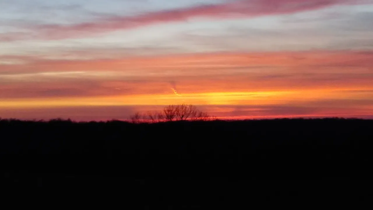 20191222_171527_Burst02.jpg