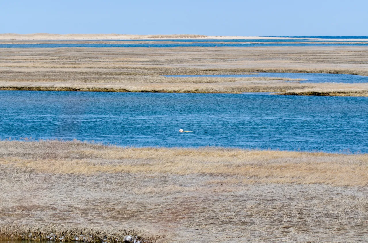 Eastham Salt Flats1.jpg