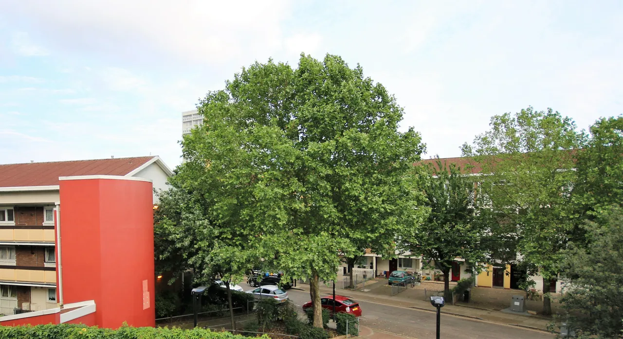 tree tuesday london.jpg