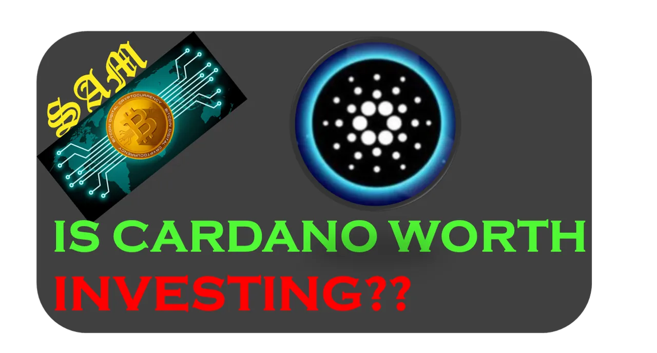 Cardano worth cover.png