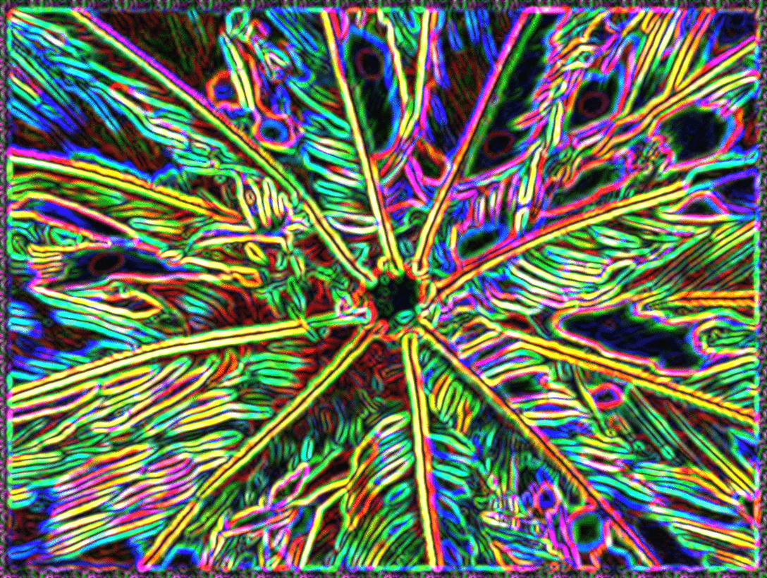 imageedit_10_6073494713.gif