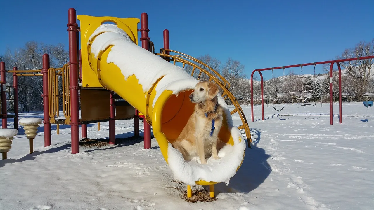 playground-2615365_1280.jpg