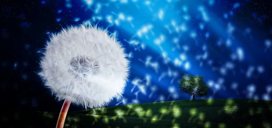 Landscape-Fantasy_small.jpg