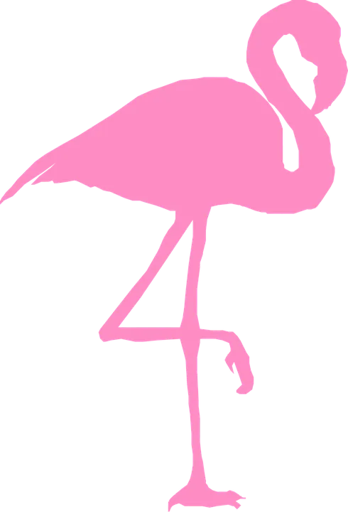 flamingo-310950_960_720.png