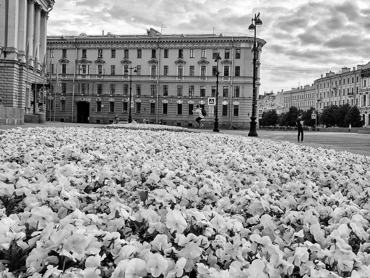 IMG_20200615_211754_HDR.jpg