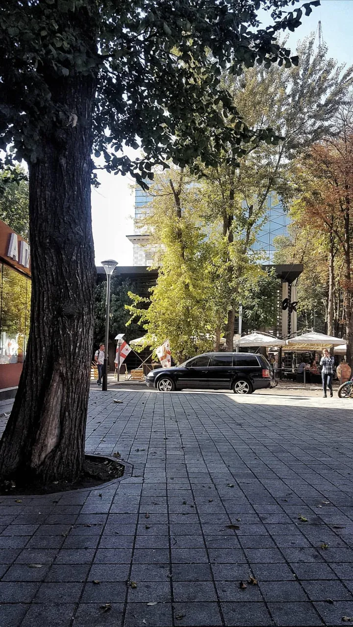 IMG_20180924_122629_178.jpg