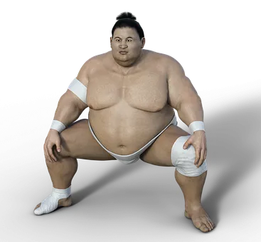 sumoringer-3196755__340.png