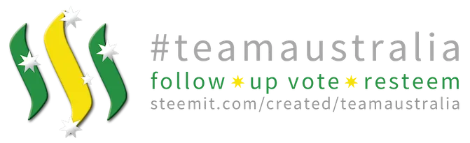 TeamAustralia - bearone.png