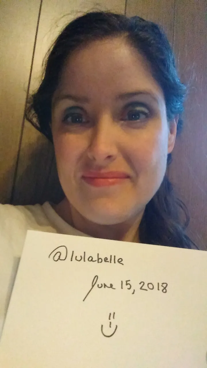 Steemit intro photo.jpg